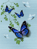 MyButterfly4_by_web750eb.png